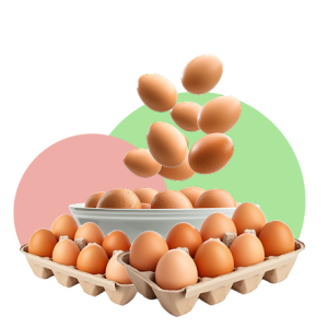 icon Eggs