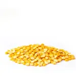 Boot Dal 500 gm