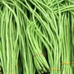 Borboti (Long Bean) – 500 gm