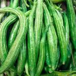 Chichinga (Snake Gourd) – 500 gm