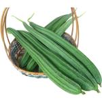 Jhinga (Ridge Gourd) – 500 gm