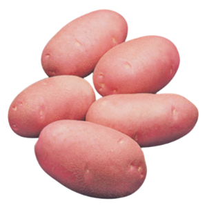 Lal Alu (Red Potato Cardinal) – 1 kg