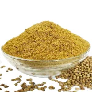 Coriander (Dhonia) Powder – 200 gm